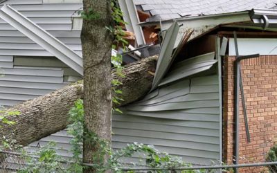 The best way to protect your home from a Storm?