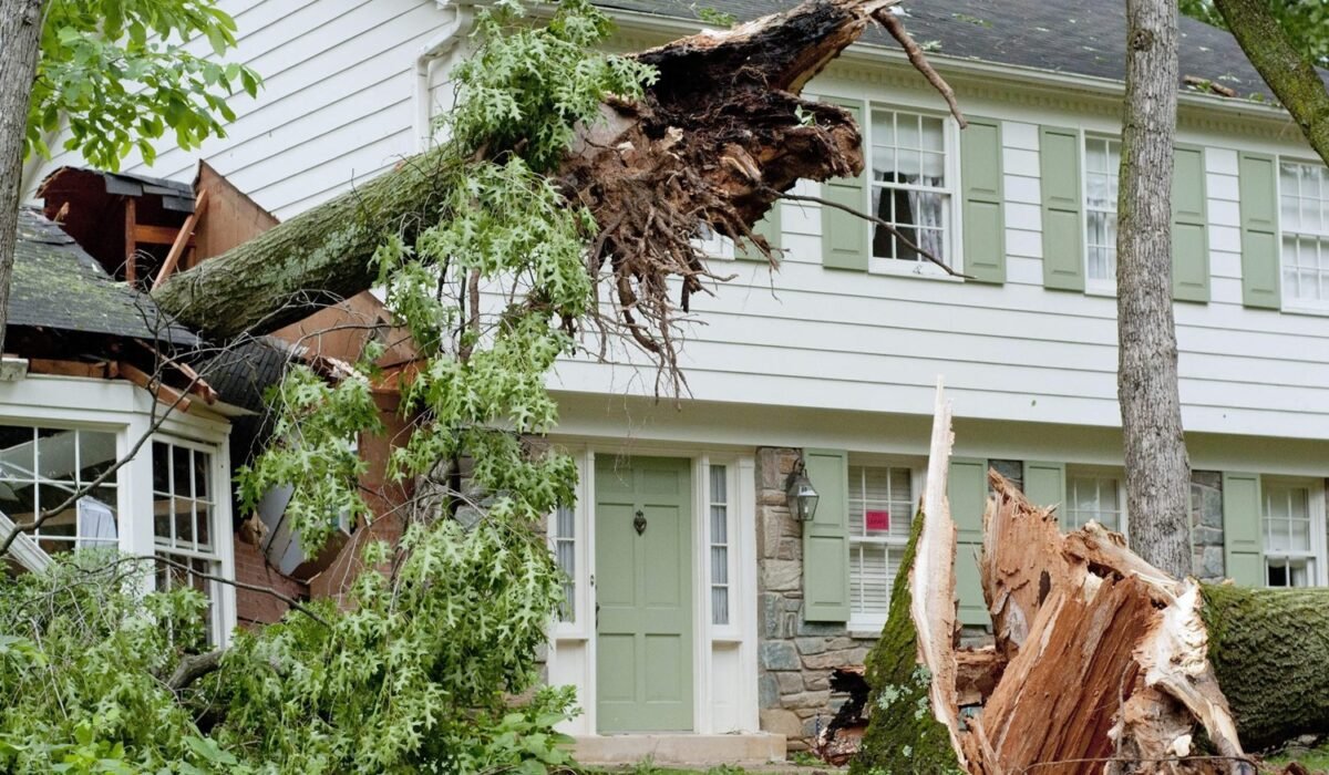 Windstorm damage in NJ