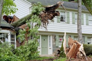 Windstorm damage in NJ